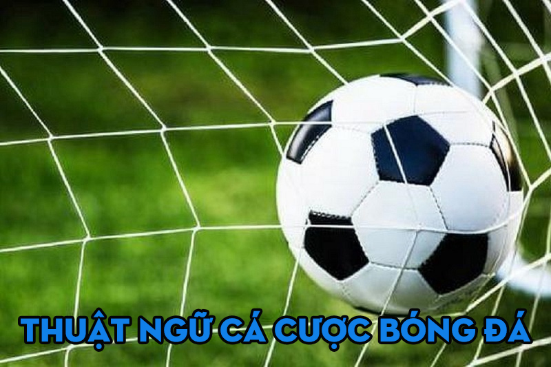 2 Thuat ngu trong ca do bong da Thuật ngữ trong cá độ bóng đá