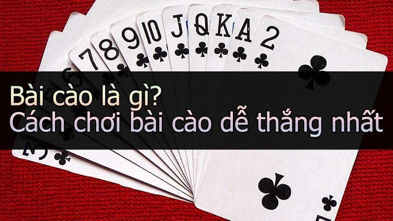 3 Dat nhieu cua cuoc se giup tang co hoi chien thang Đặt nhiều cửa cược sẽ giúp tăng cơ hội chiến thắng